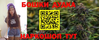 индика Обь