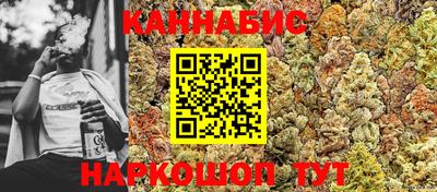 индика Обь