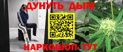 индика Обь