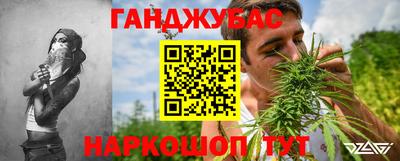 трава Партизанск
