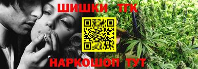 индика Обь