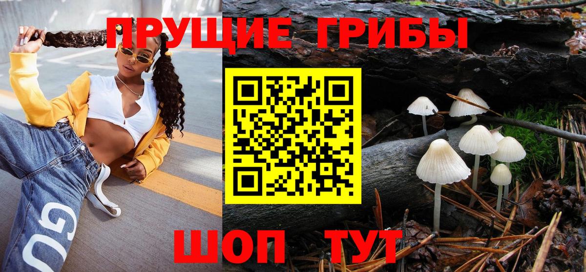 Галлюциногенные грибы Psilocybine cubensis  Вход с VPN  Скопин 